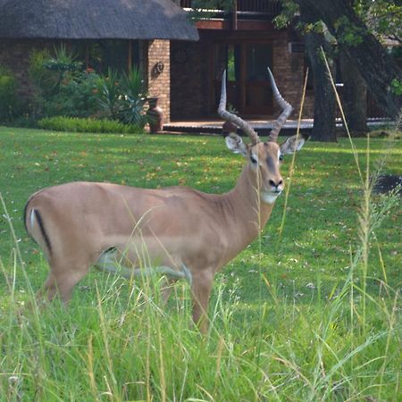 Kruger Park Lodge - Golf Safari Sa Хейзивью Экстерьер фото