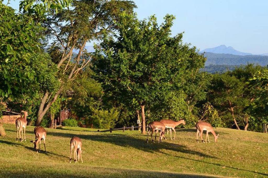 Kruger Park Lodge - Golf Safari Sa Хейзивью Экстерьер фото