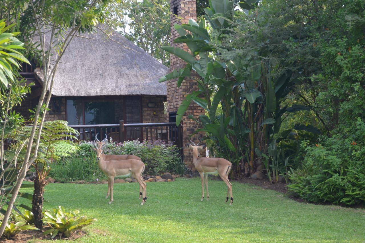 Kruger Park Lodge - Golf Safari Sa Хейзивью Экстерьер фото