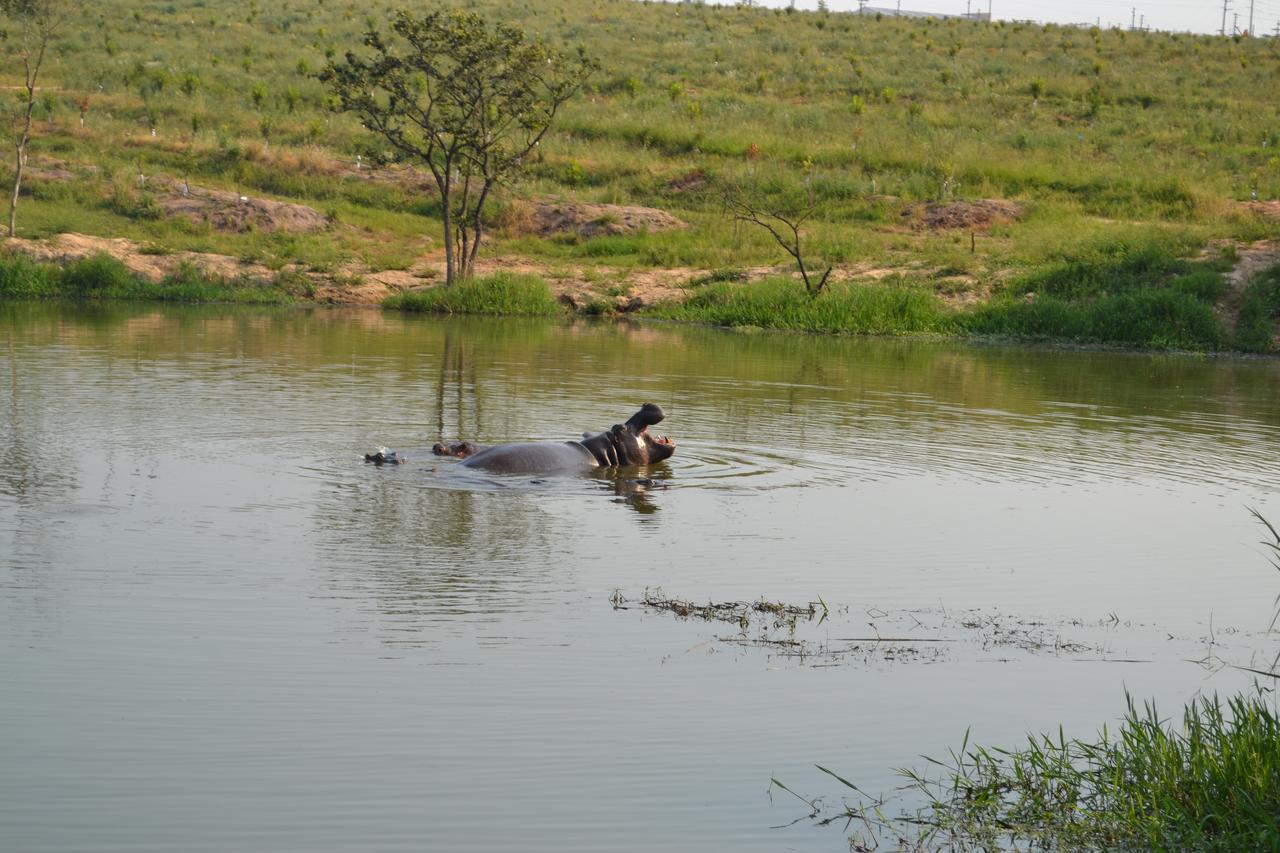 Kruger Park Lodge - Golf Safari Sa Хейзивью Экстерьер фото