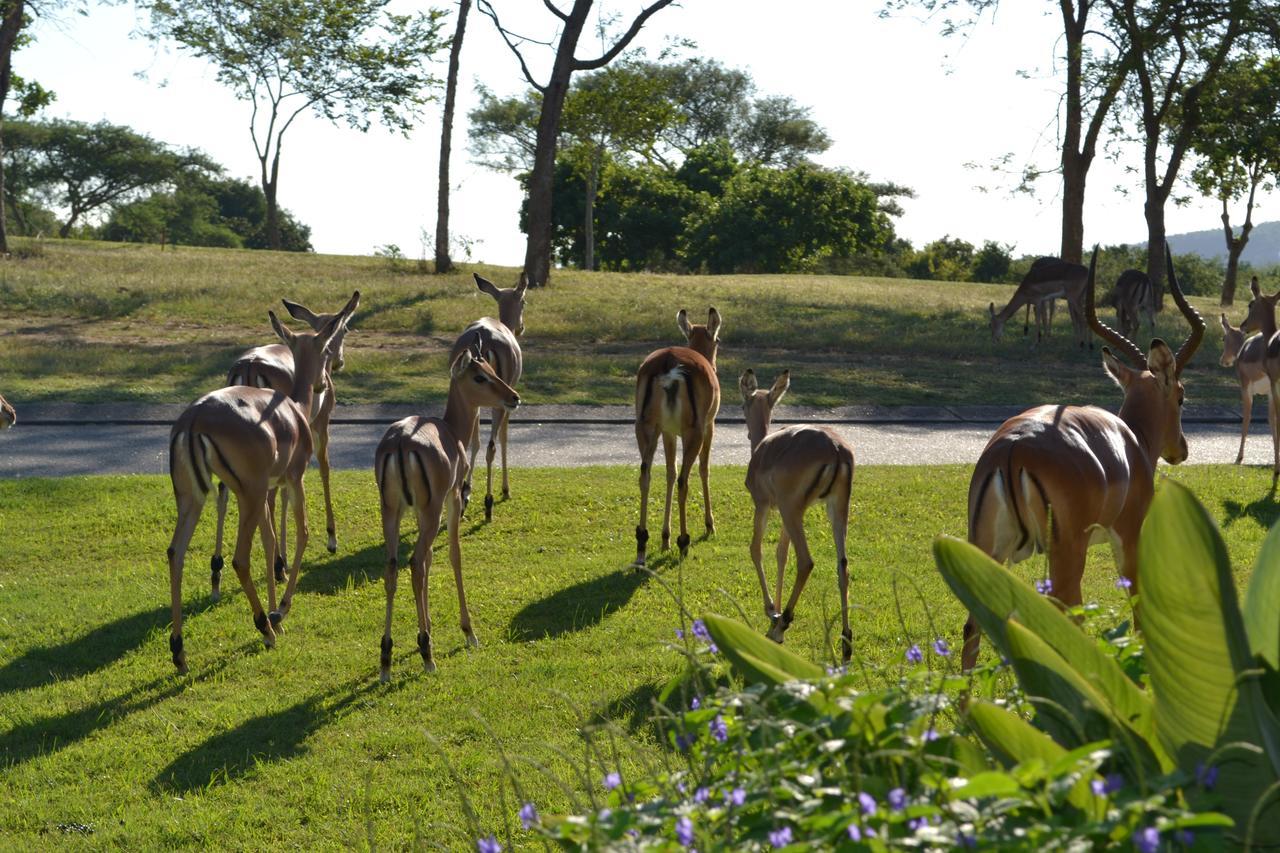 Kruger Park Lodge - Golf Safari Sa Хейзивью Экстерьер фото