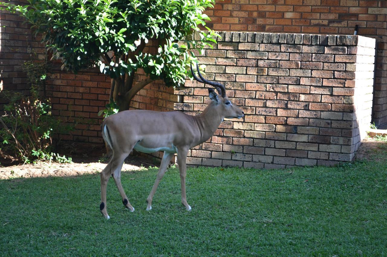 Kruger Park Lodge - Golf Safari Sa Хейзивью Экстерьер фото